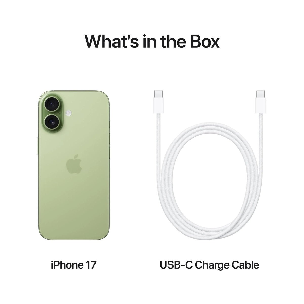 iPhone 17 Verde Sálvia