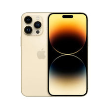 Dourado